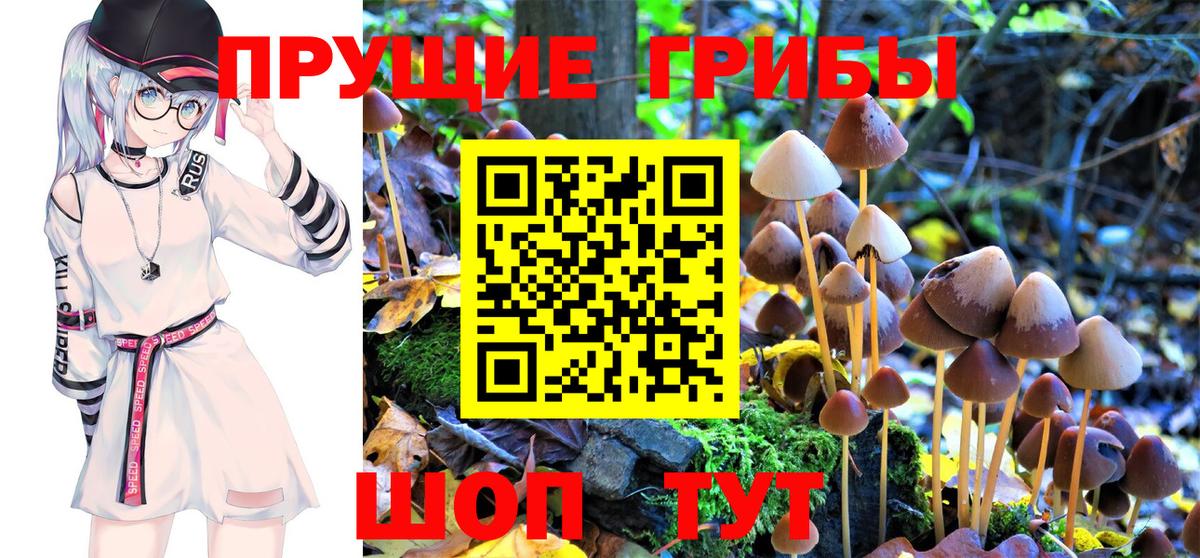 Галлюциногенные грибы мухоморы  Галлюциногенные грибы Magic Shrooms  Нижнеудинск  Вход с VPN 